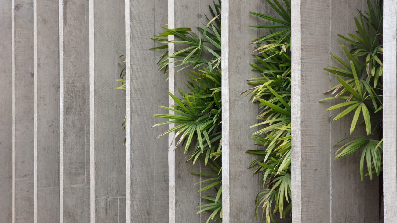 Brutalismo Verde. Riad, marzo 2024