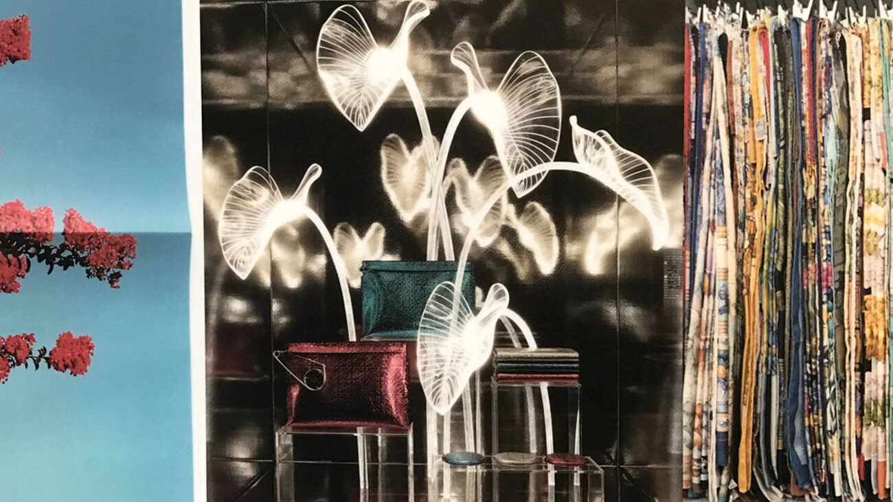 Past, Present, Future  LOEWE. Real Jardín Botánico de Madrid, 2016